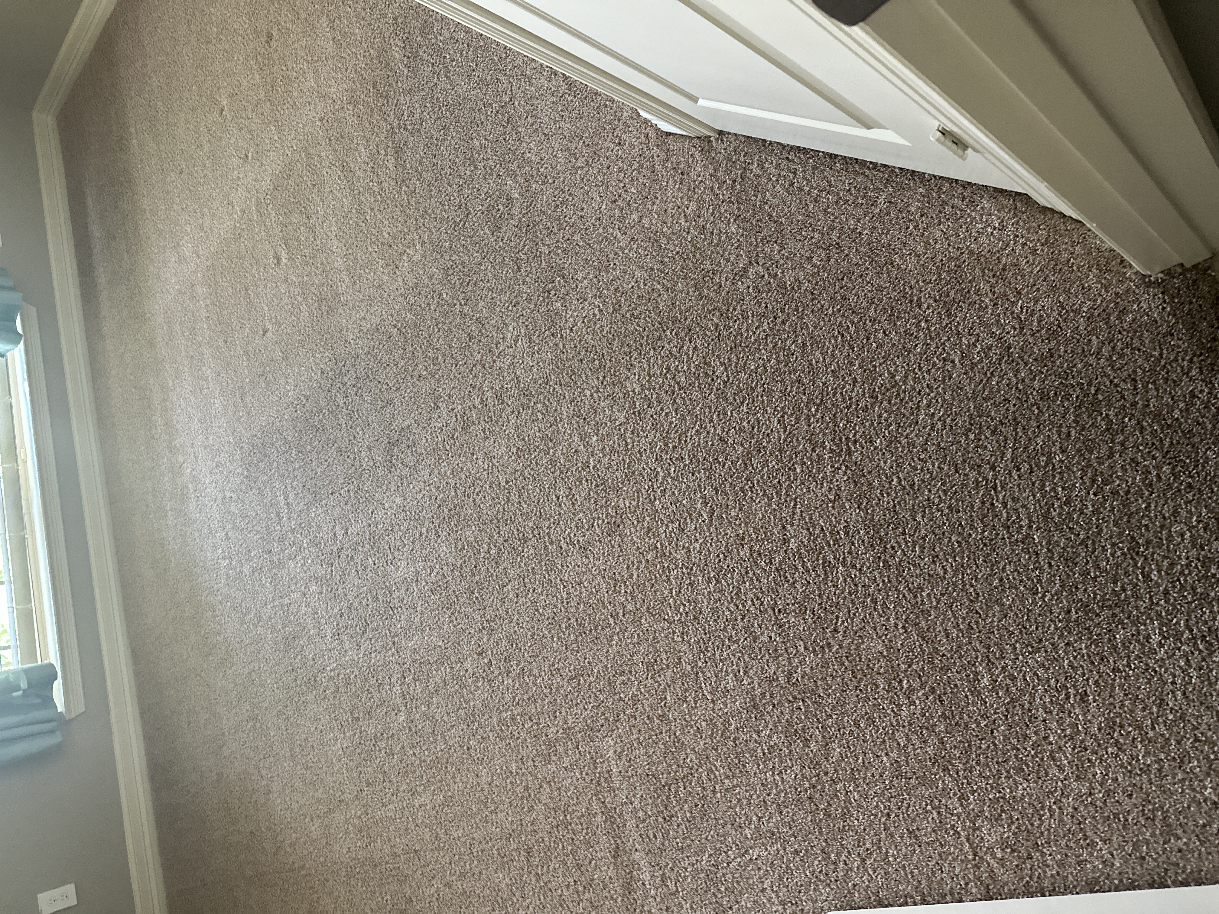 upholstery-cleaning-results-tomball-tx-case-study