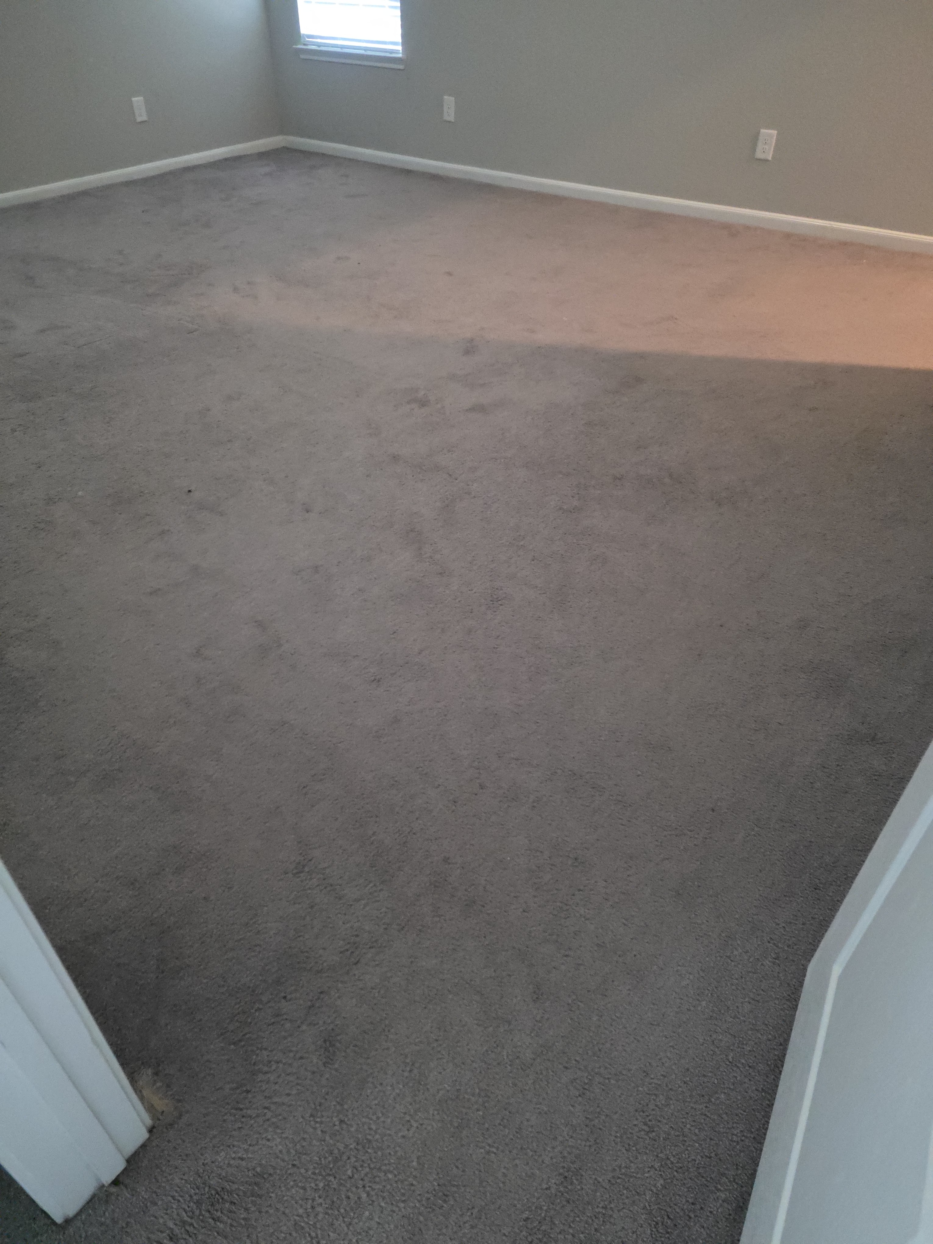 upholstery-cleaning-results-tomball-tx-case-study