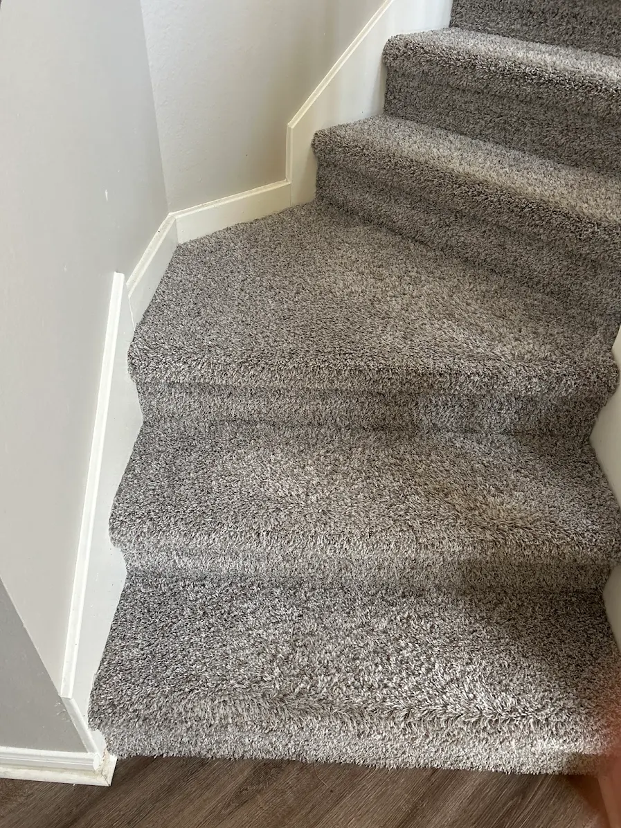 upholstery-cleaning-results-tomball-tx-case-study